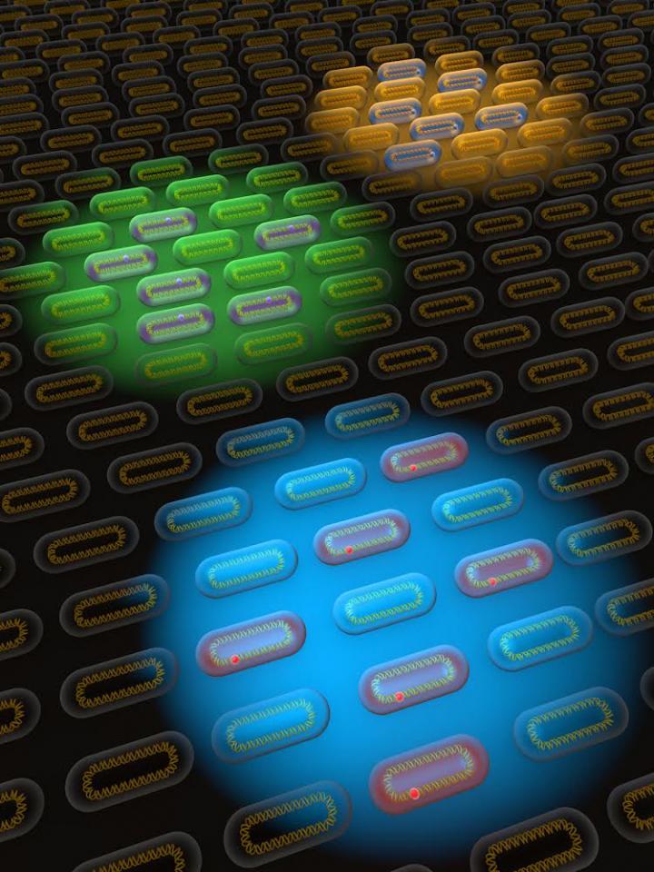 Engineering Living Cells to Remember their Past (2 of 2)