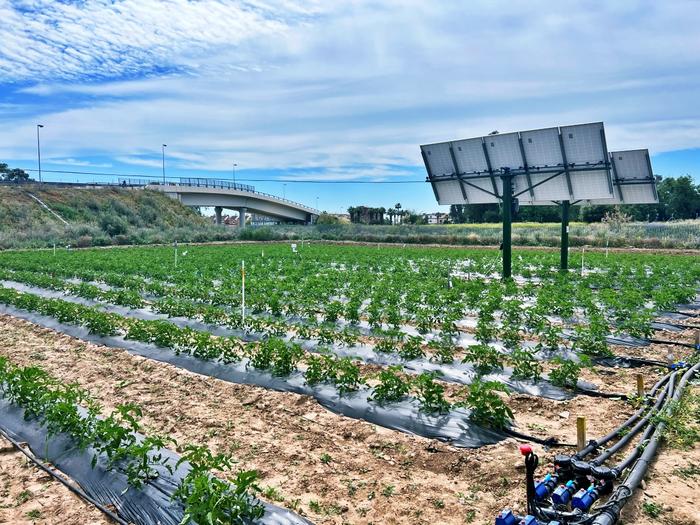 Agrovoltaic installation