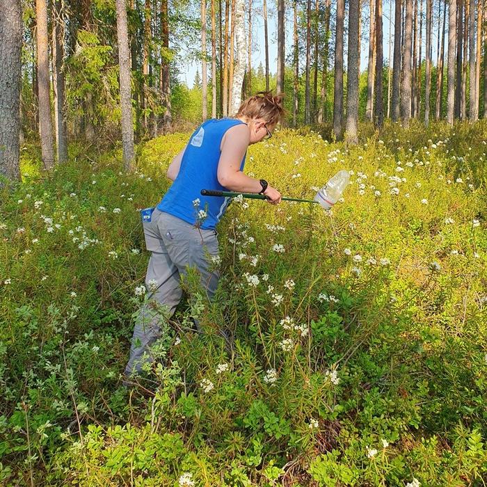 Inferring plant-bee-microbe associations: Foragers, hive workers, and honey tell complementary stories