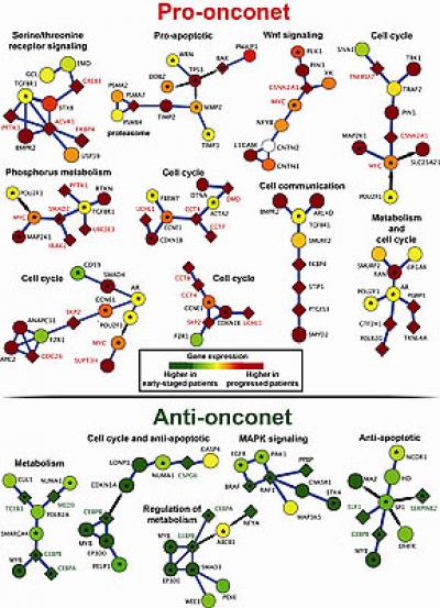 Oncosets