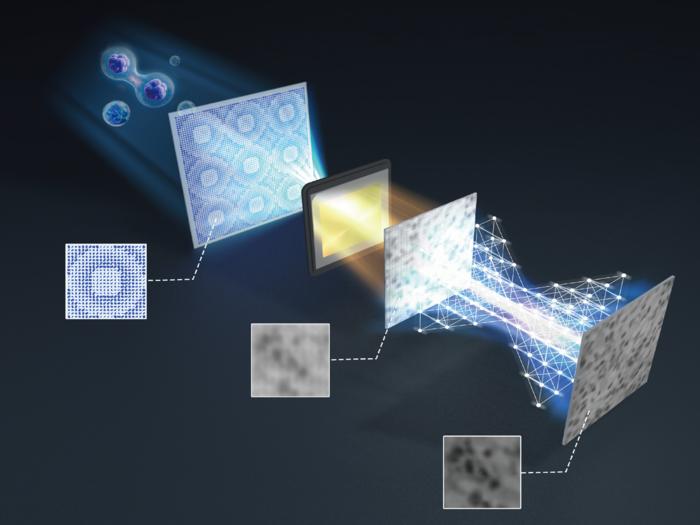 Schematic diagram of the proposed ultra-compact intelligent meta-microscope