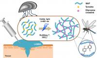 Mussel Adhesive Protein-Based Bioadhesive