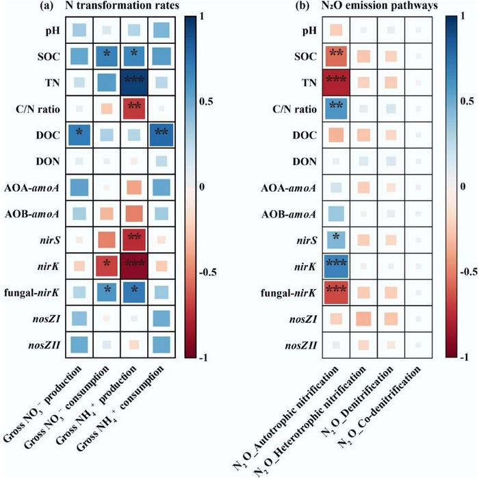 Heatmap of Pearson's correlation matrix between soil biochemical characteristics and gross NH4+ and NO3−