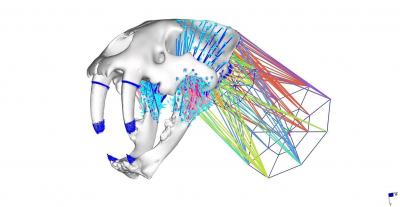 Smilodon
