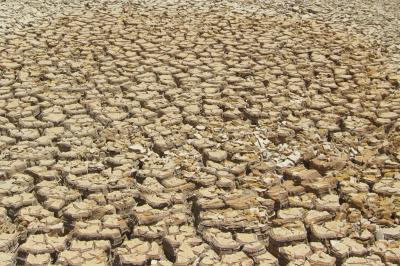 Drought