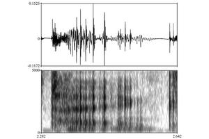 Brown played voice recordings for listeners and asked them to rate the perceived “creakiness” of the sound.