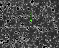 Image of the Asteroid 2008 LC18