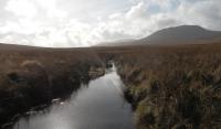 Recovering blanket bog in Snowdonia