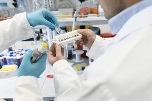 Qin lab 3
