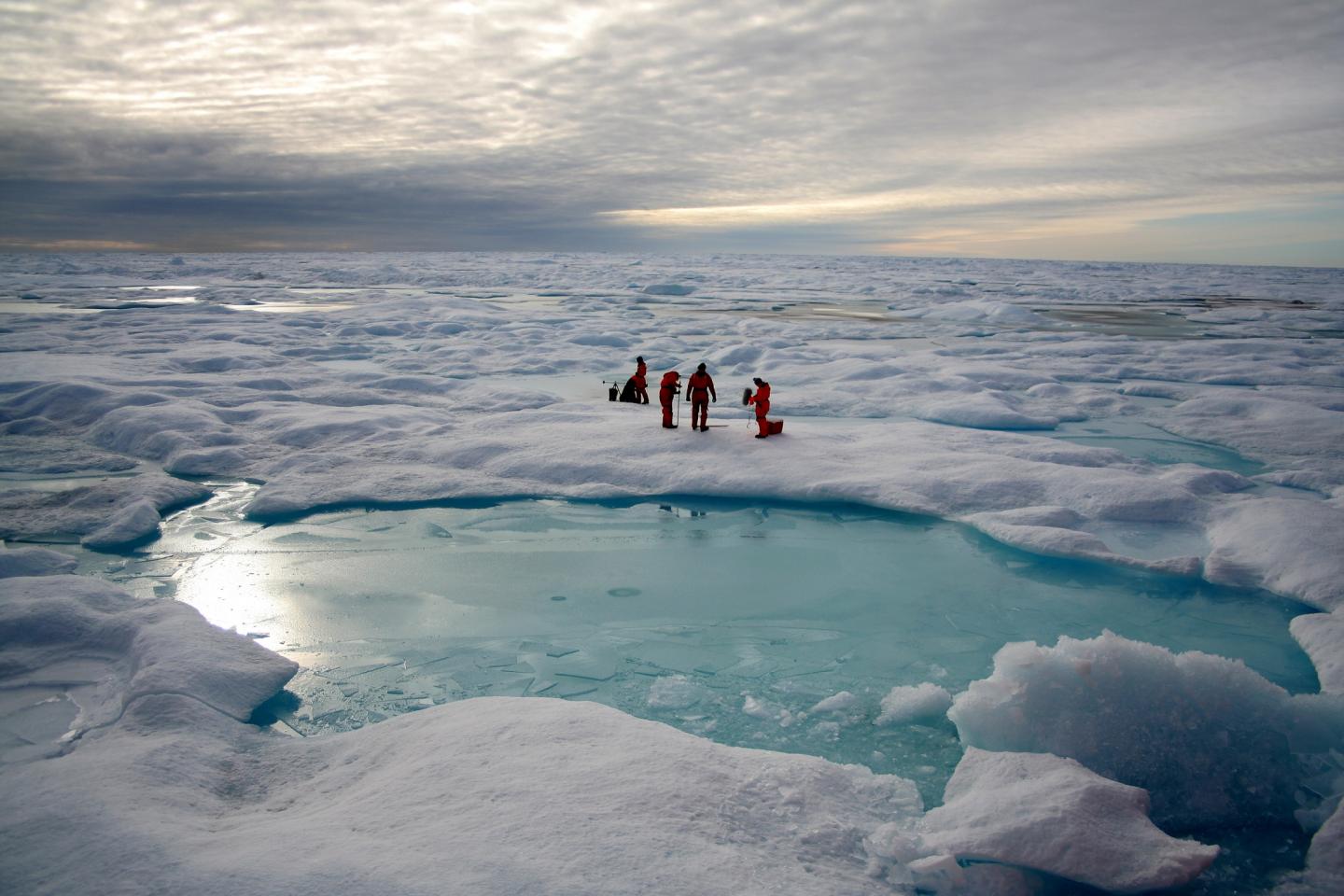 Sea ice in the Arctic