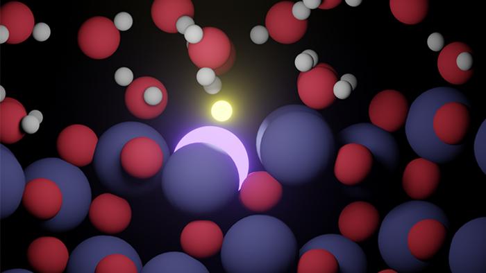 The hydrogen evolution reaction