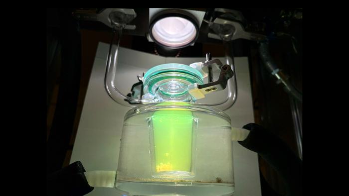 A green advance: Solar hydrogen can now be produced efficiently without the scarce metal platinum.