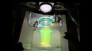 A green advance: Solar hydrogen can now be produced efficiently without the scarce metal platinum.