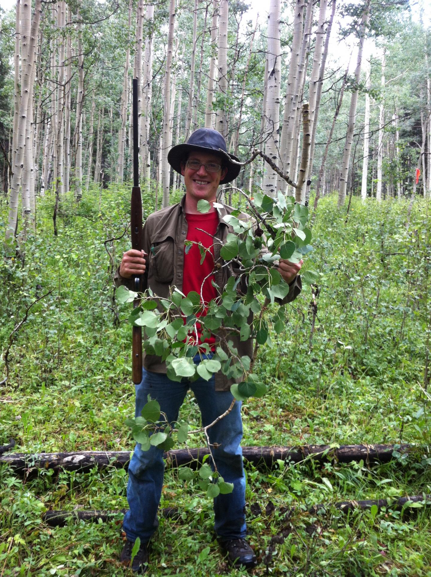 Collecting Branches