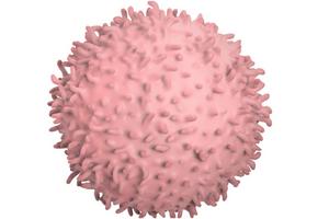 Fragments of digested protein