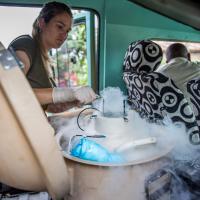 Storing microbiome samples