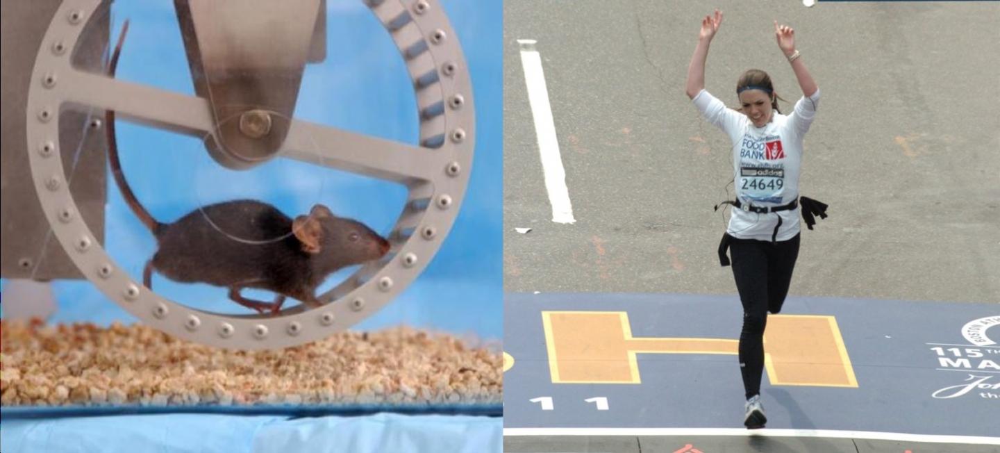 Excercise
