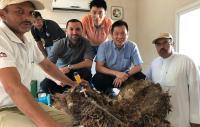 Researchers and Farmers
