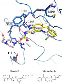 Simulation of an Interaction between a Candidate Cancer Drug and a Cancer Target