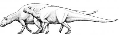 Maiasaura