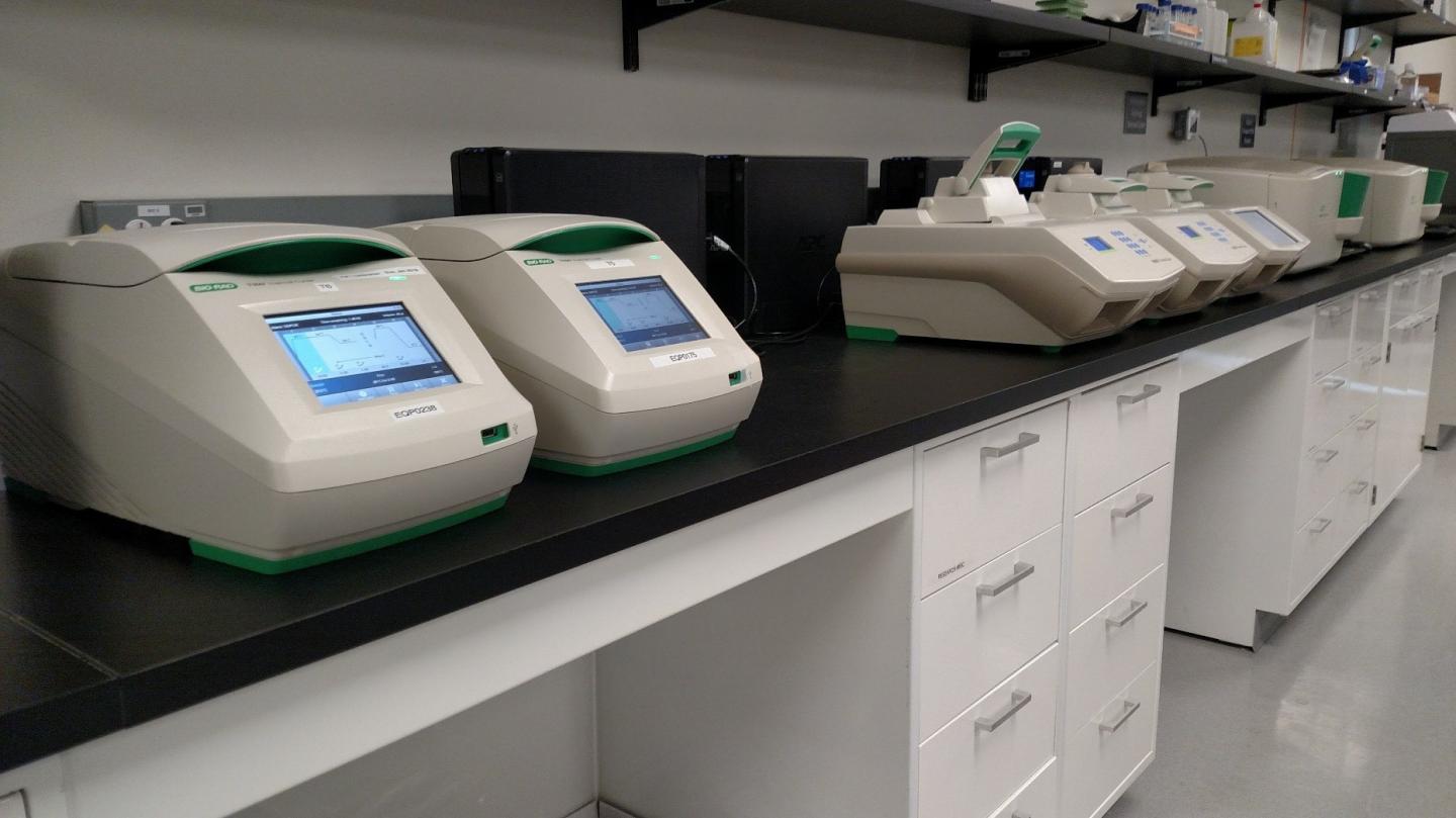 New Blood Test Offers Potential for Faster, Targeted Treatment of Non-Small-Cell Lung Cancer