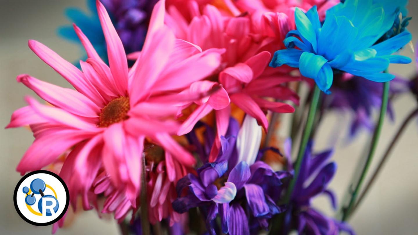 How to Make Cut Flowers Last Longer (Video)