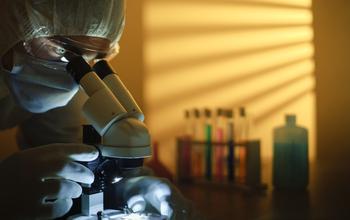The NCSES Report Focuses on Business R&D Performance