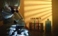 The NCSES Report Focuses on Business R&D Performance