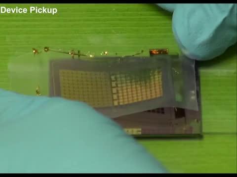 Wearable, Stretchable Memory Device Monitors Heart Rate (2 of 10)