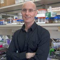 Prof. Udi Qimron.