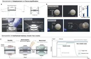 Figure 2. Demonstrations of amplified actuation and mechanical memory based on the C-EsMV system