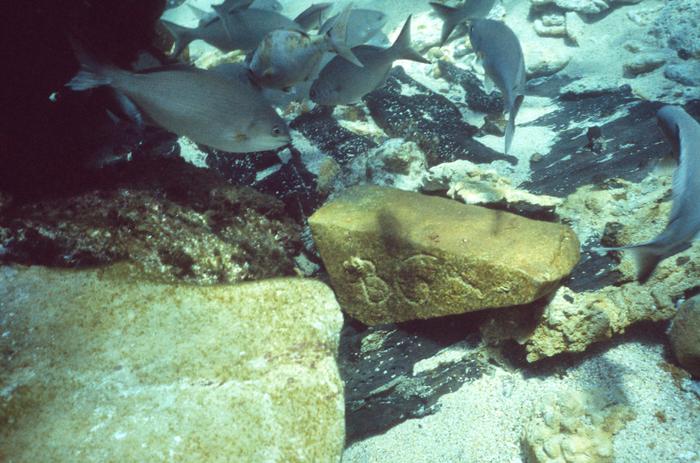 Stone blocks at the Batavia wreck site, 1973. Credit - WA Museum