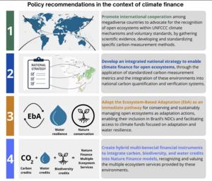 Policy recommendations in the context of climate finance.
