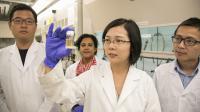 Examining Lab-Developed Molecules