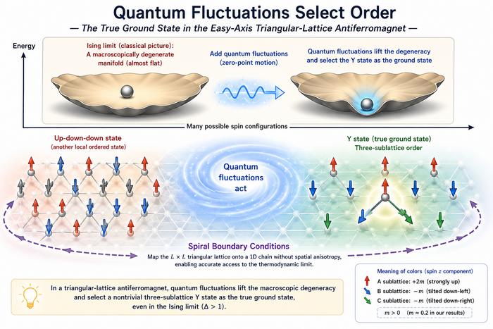 Quantum Fluctuations Select Order