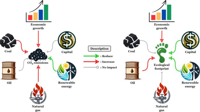 The dynamic impact of non-renewable and renewable energy on carbon dioxide emissions and ecological footprint in Indonesia