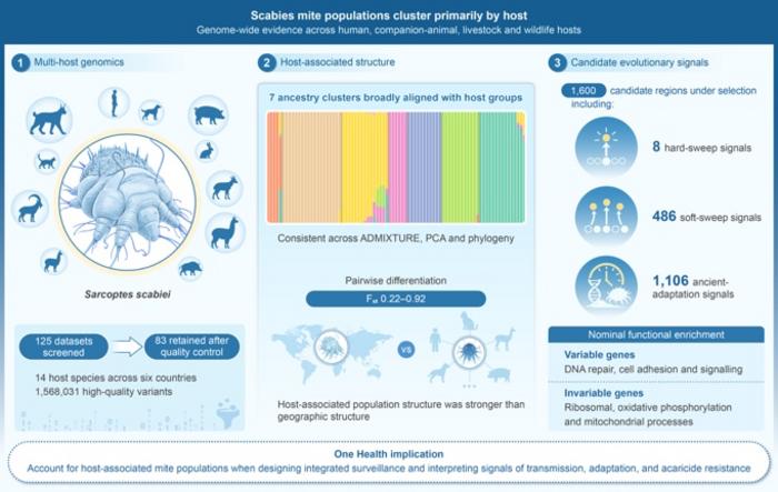Genome-wide population structure of scabies mites across diverse hosts