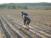 Digging Deep in China Cropland