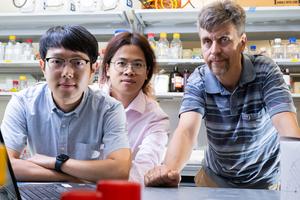 Common food bacteria could help make vitamins cheaper and greener