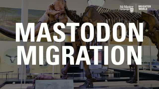 Mastodon Migration