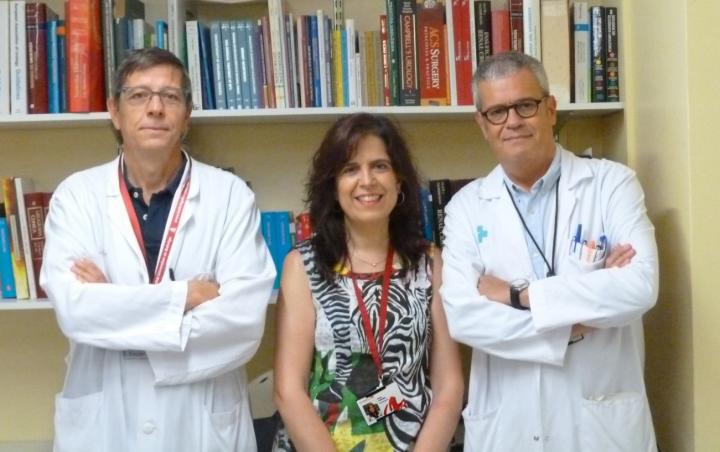 Research Team