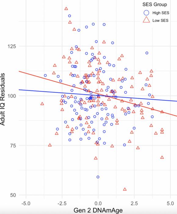 Second generation DNA methylation age predicts cognitive change in midlife: the moderating role of childhood socioeconomic status