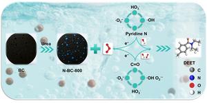 Synergistic catalytic ozonation by pyridinic N and C=O groups on cotton hulls biochar for efficient DEET degradation