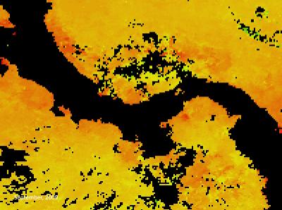 Sea Surface Temperatures, September 2009