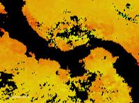Sea Surface Temperatures, September 2009
