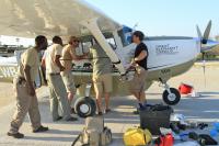 Survey Aircraft