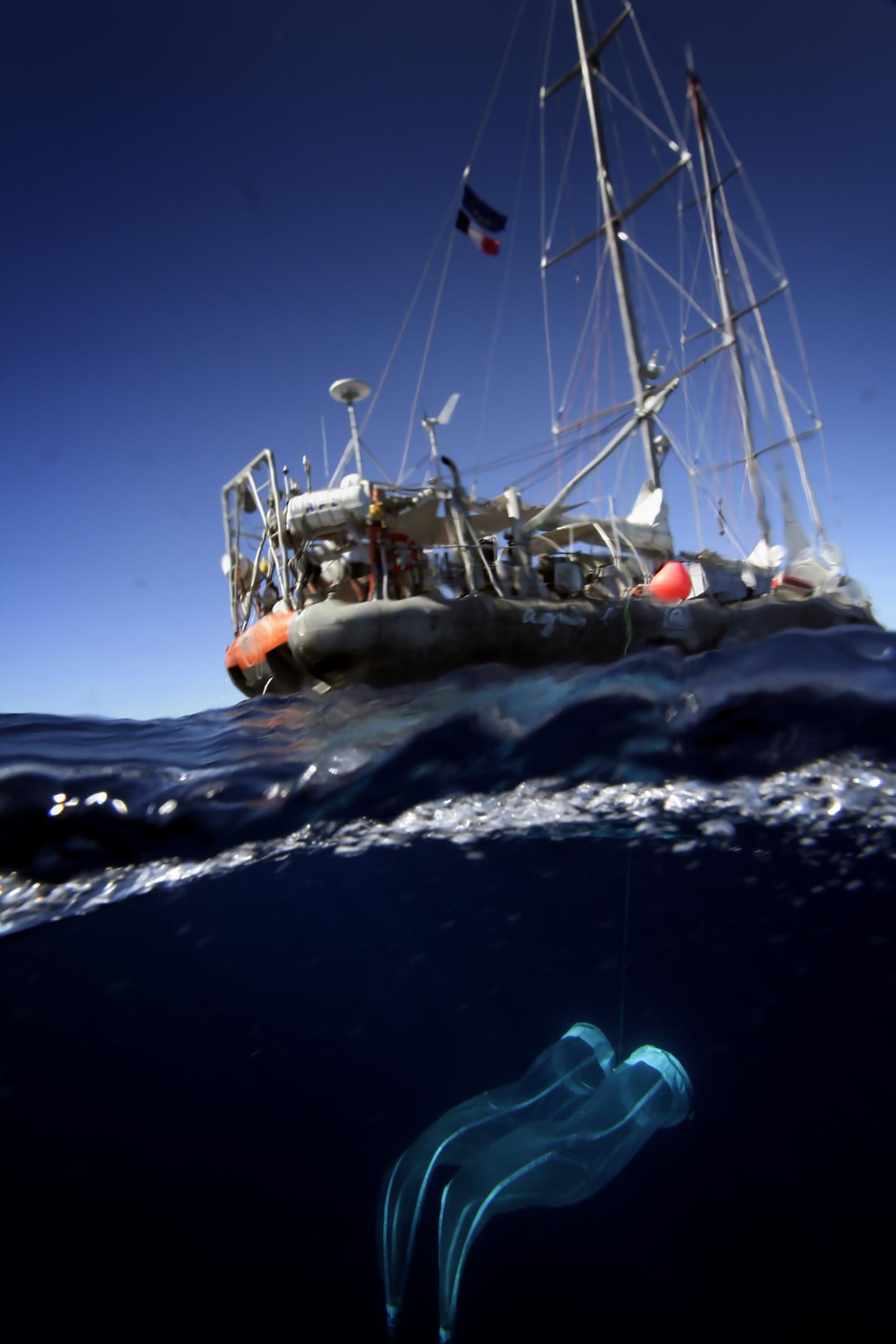 Net Floating underneath the Tara
