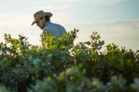 Searching the Bahamas for Lizard Droppings