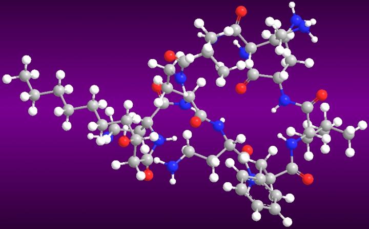 Octapeptin-X