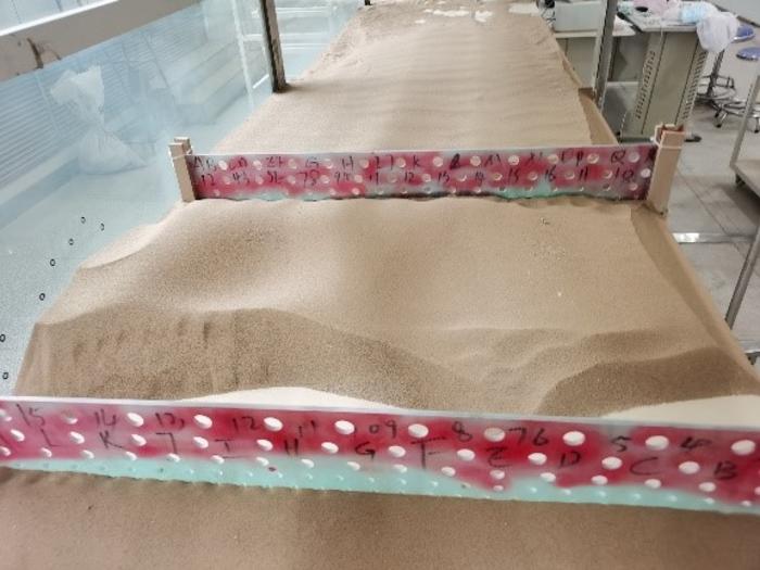 Sand particle accumulation between sand barriers made from retired wind turbine in wind tunnel experiments.